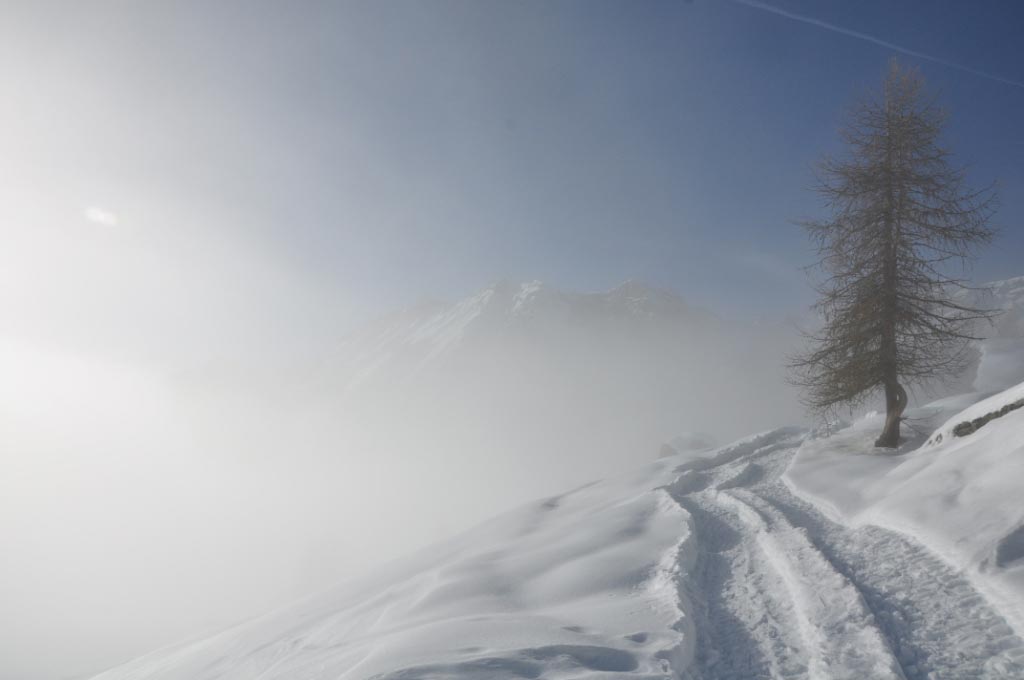 Champoluc